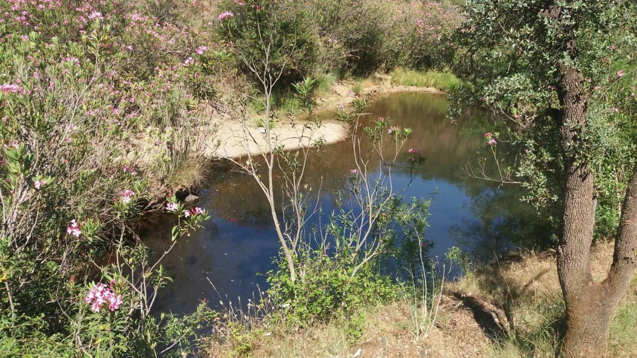 Agroturismo Flores Do Campo Villa Vila Verde de Ficalho ภายนอก รูปภาพ